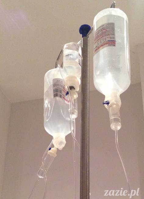 kumok_miszur_mopsy_mopsiki_27