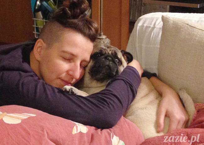 kumok_miszur_mopsy_mopsiki_37