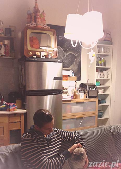 Kumok Miszur mopsy mopsiki Zazie