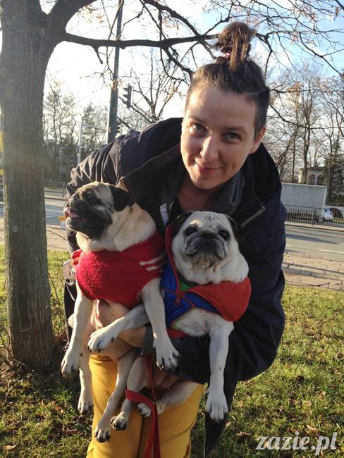 Kumok Miszur mopsy mopsiki Zazie