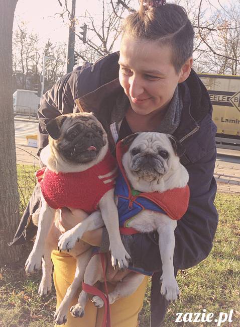 Kumok Miszur mopsy mopsiki Zazie