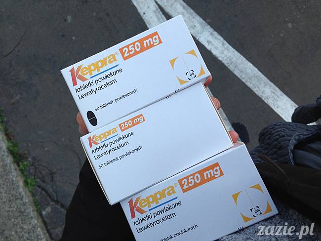 Kumok Miszur mopsy mopsiki Zazie