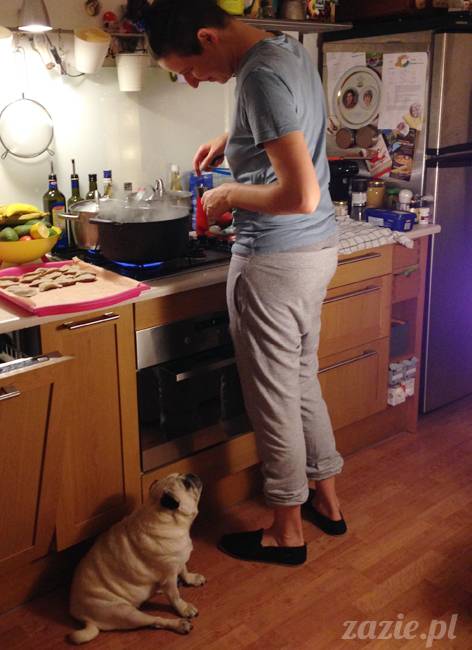 Kumok Miszur mopsy mopsiki Zazie