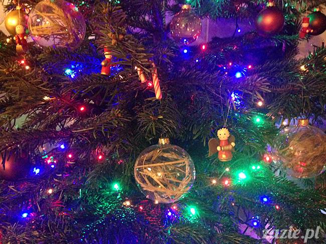 kumok_miszur_mopsy_mopsiki_65