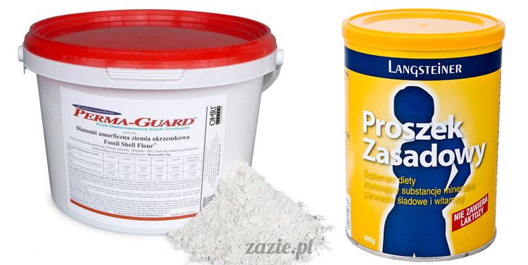 ziemia_okrzemkowa_proszek_zasadowy