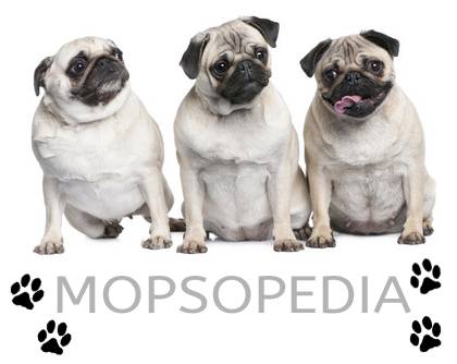 mopsopedia