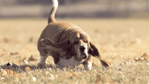 Halo, zaczekajcie, ja jeszcze nie skończyłam!