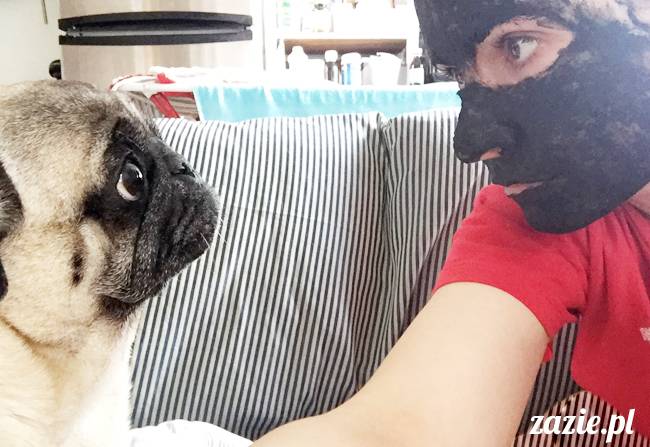 mops mopsy mopsiki Kumok Miszur