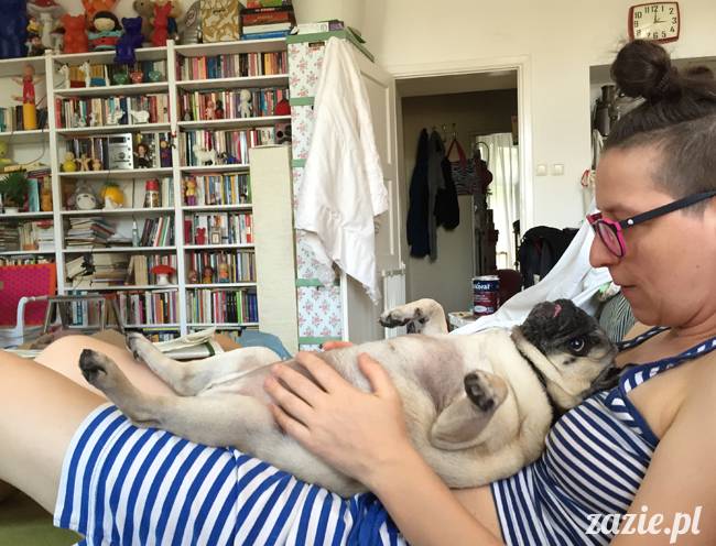 mops mopsy mopsiki Kumok Miszur