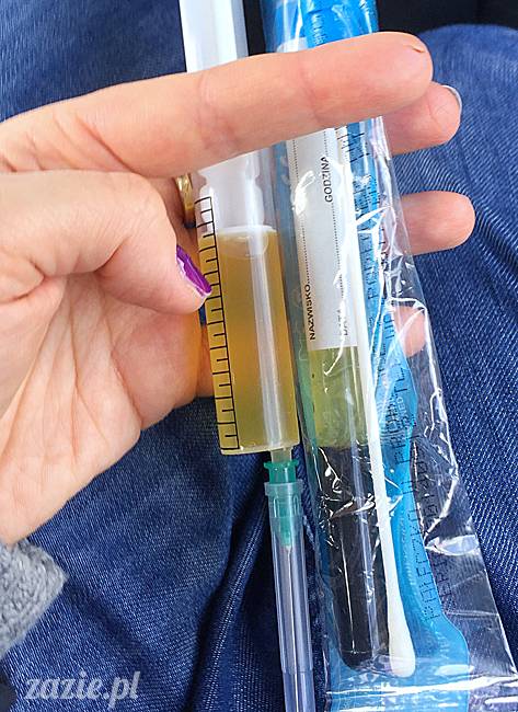 a_mopsy_mopsiki_kumok_miszur_domowo_i