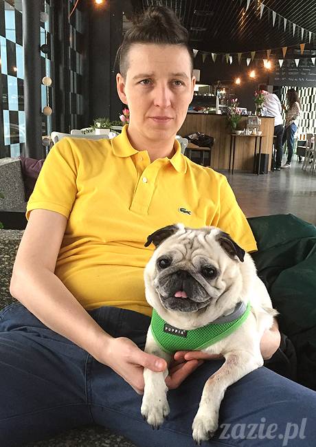 mopsy mopsiki KUmok Miszur Zazie Syd Kwadratowa Stara Ochota