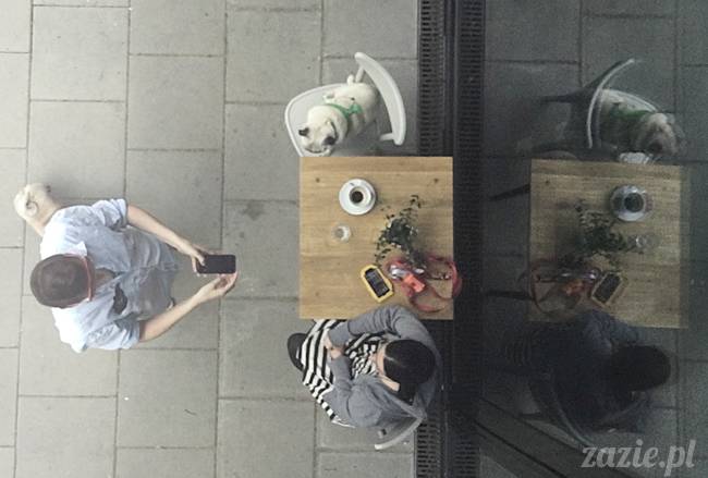 mopsy mopsiki, Kumok i Miszur, Zazie i Syd, Stara Ochota, kawiarnia Kwadratowa