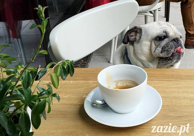 mopsy mopsiki, Kumok i Miszur, Zazie i Syd, Stara Ochota, kawiarnia Kwadratowa