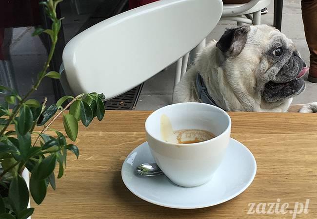 mopsy mopsiki, Kumok i Miszur, Zazie i Syd, Stara Ochota, kawiarnia Kwadratowa