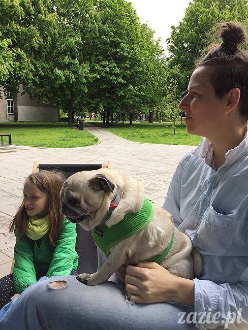 mopsy mopsiki, Kumok i Miszur, Zazie i Syd, Stara Ochota, kawiarnia Kwadratowa