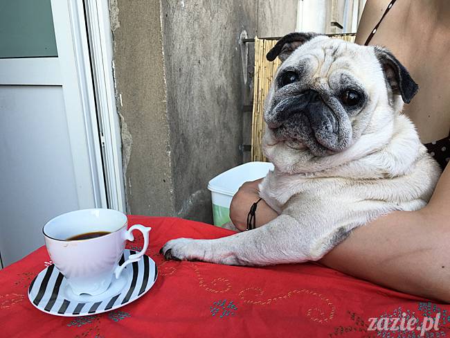 balkon południowy zazie i syd, stara ochota, warszawa