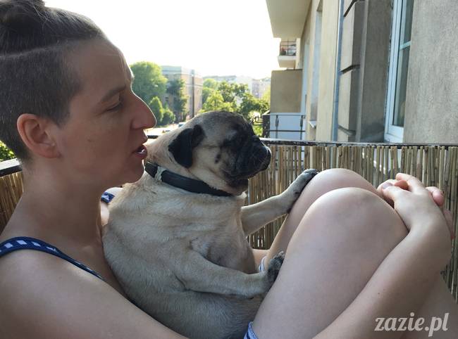 balkon południowy zazie i syd, stara ochota, warszawa