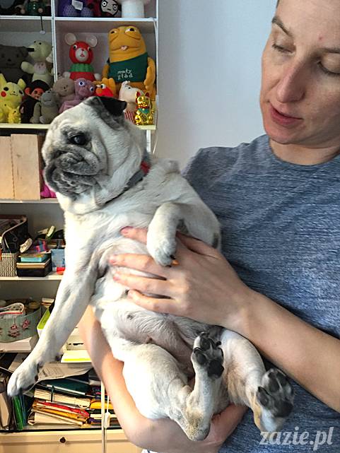 balkon południowy zazie i syd, stara ochota, warszawa