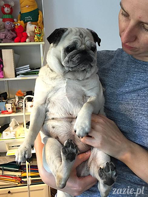 balkon południowy zazie i syd, stara ochota, warszawa