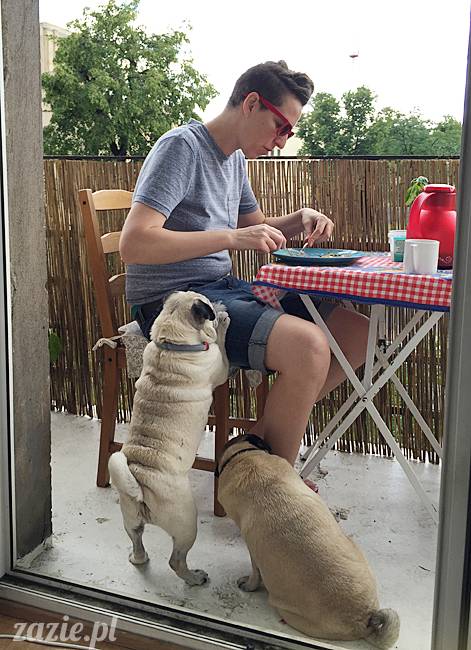 balkon południowy zazie i syd, stara ochota, warszawa