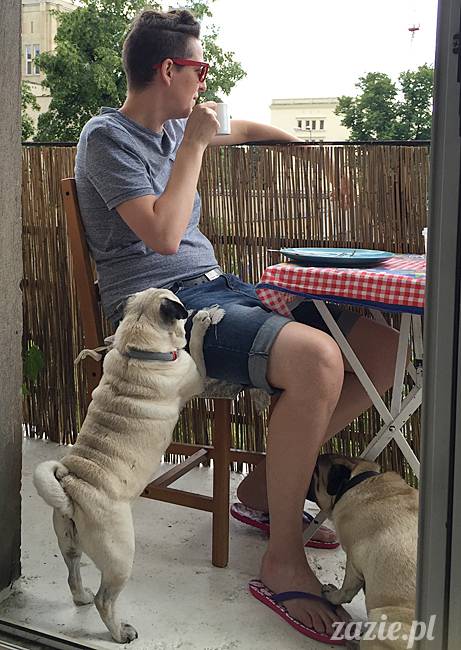 balkon południowy zazie i syd, stara ochota, warszawa