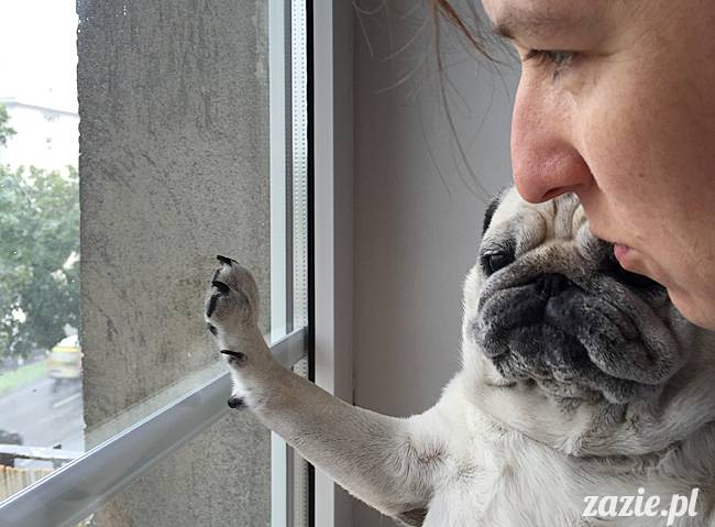 poludniowy_balkon_zazie_syd_36