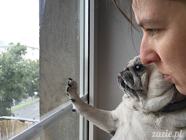 poludniowy_balkon_zazie_syd_37