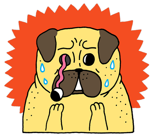 vincy_cheung_pug_eyeball