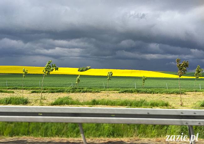 Zazie Syd Kumok i Miszur, Wrocław maj 2016