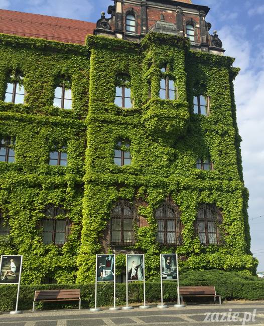 Zazie Syd Kumok i Miszur, Wrocław maj 2016