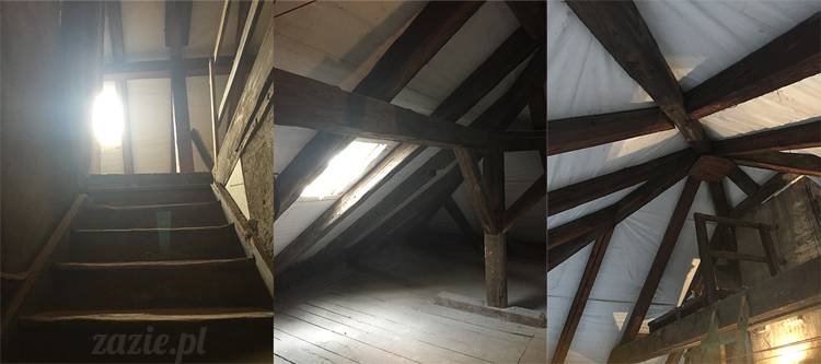 Zazie Syd Kumok i Miszur, Wrocław maj 2016