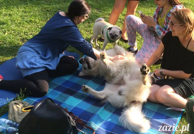 Zazie Syd Kumok i Miszur, Wrocław maj 2016