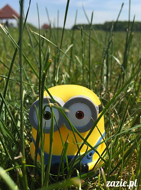 Zazie Syd Kumok i Miszur, Wrocław maj 2016