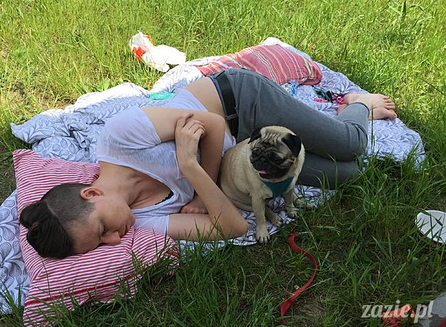 Zazie Syd Kumok i Miszur, Wrocław maj 2016