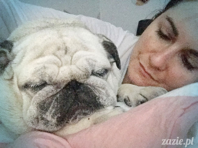 Kumok i Miszur, mopsy mopsiki Zazie