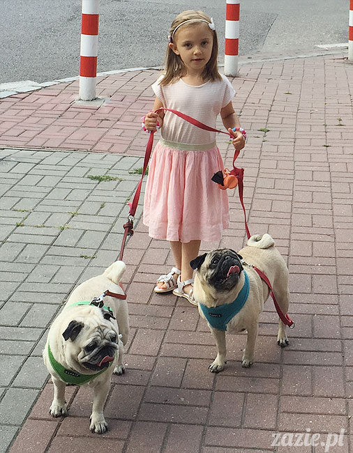 Kumok i Miszur, mopsy mopsiki Zazie