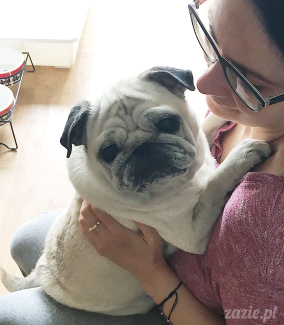 Kumok i Miszur, mopsy mopsiki Zazie