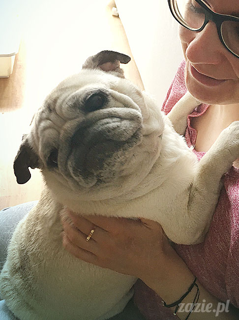 Kumok i Miszur, mopsy mopsiki Zazie