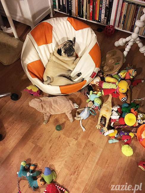 Kumok i Miszur, mopsy mopsiki Zazie