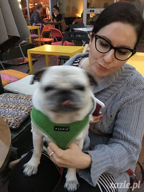 Kumok i Miszur, mopsy mopsiki Zazie