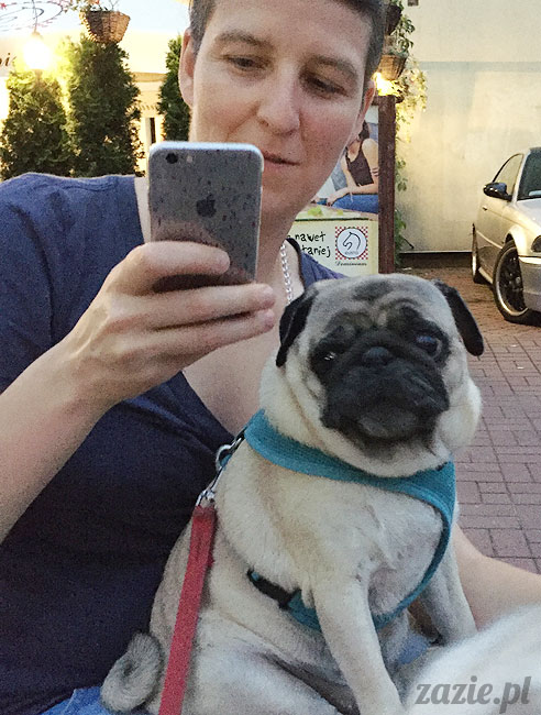 Kumok i Miszur, mopsy mopsiki Zazie