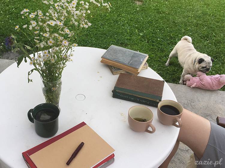 Kotlina Kłodzka, ziemia kłodzka, podróże Zazie i Syd