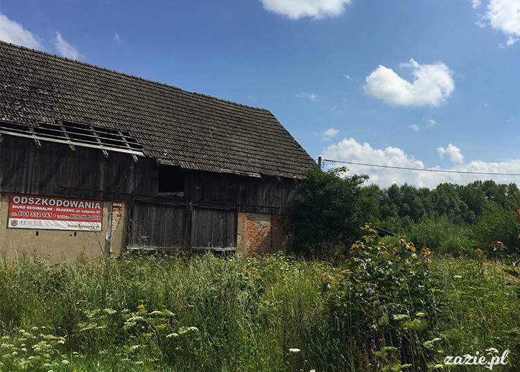 Kotlina Kłodzka, ziemia kłodzka, podróże Zazie i Syd