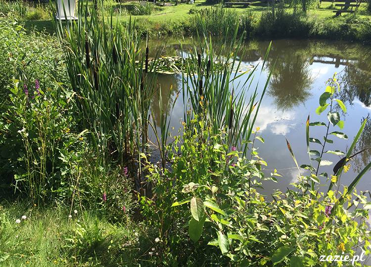 Kotlina Kłodzka, ziemia kłodzka, podróże Zazie i Syd