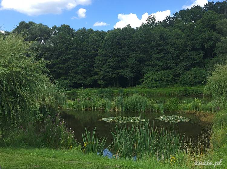 Kotlina Kłodzka, ziemia kłodzka, podróże Zazie i Syd