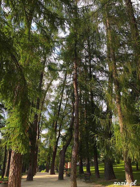 Kotlina Kłodzka, ziemia kłodzka, podróże Zazie i Syd