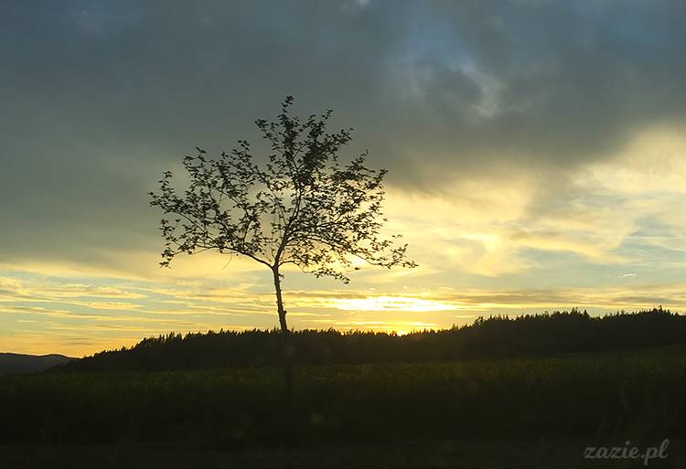 Kotlina Kłodzka, ziemia kłodzka, podróże Zazie i Syd