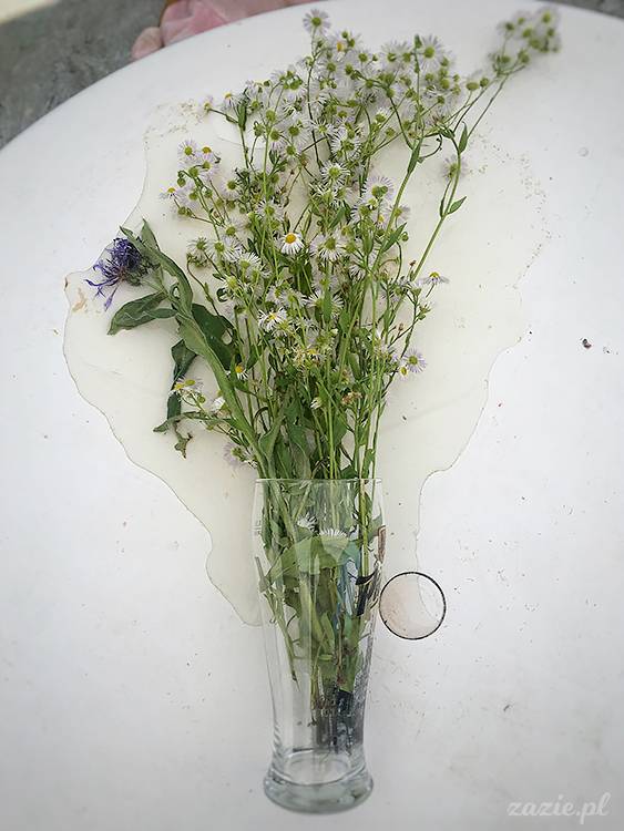 Kotlina Kłodzka, ziemia kłodzka, podróże Zazie i Syd