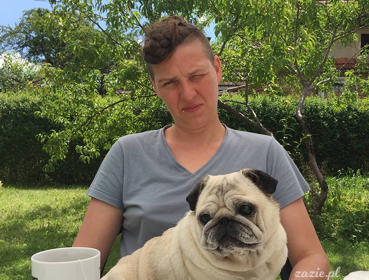 mopsy mopsiki pugs Kumok Miszur Zazie Syd z mopsem, z mopsami