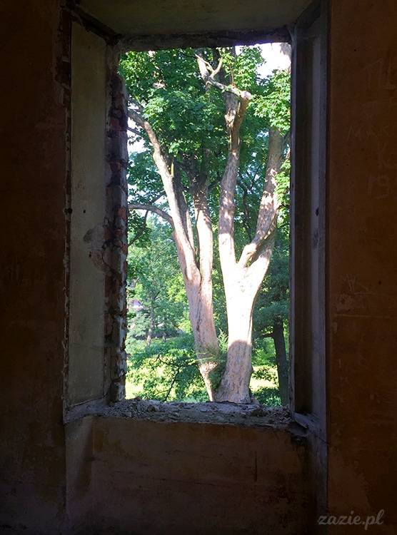 Fundacja Pałac Gorzanów, zamek w Gorzanowie, Pałac Herbersteinów w Gorzanowie